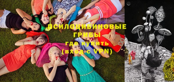 a pvp Абинск