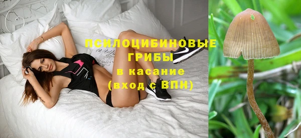 ГАЛЛЮЦИНОГЕННЫЕ ГРИБЫ Алексеевка