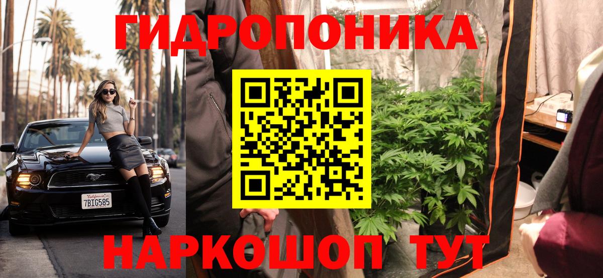 Конопля планчик  Вход с VPN  Бошки марихуана план  Элиста  Шишки марихуана Amnesia 